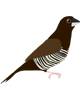PDG